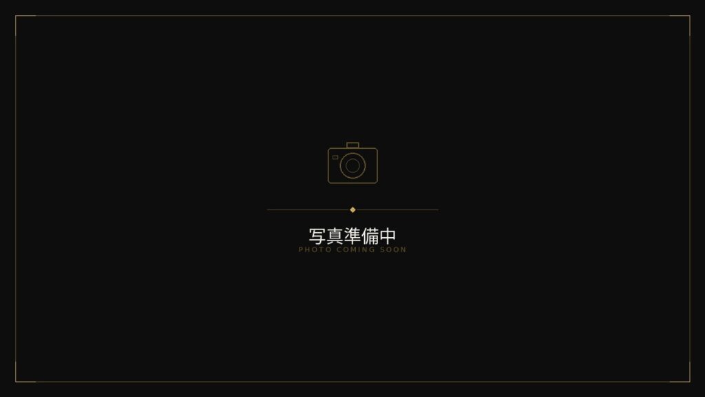 豊田市寺部町３丁目　新築戸建